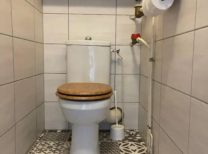 Daire 2 Alpes Style Au Pied De Telesiege Du Diable *