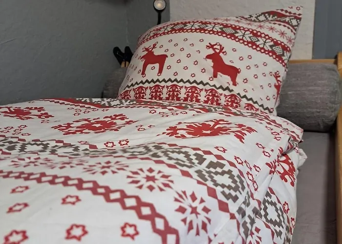 Daire 2 Alpes Style Au Pied De Telesiege Du Diable Les Deux Alpes