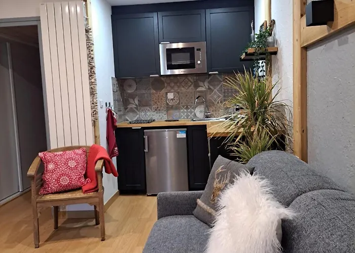 2 Alpes Style Au Pied De Telesiege Du Diable Daire *