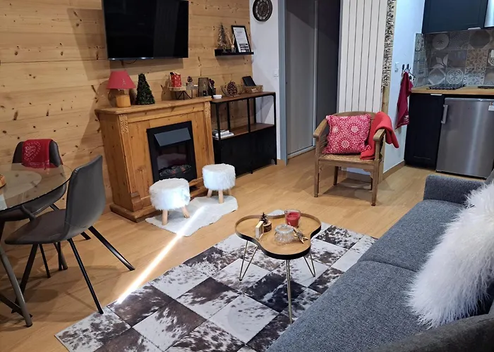 Daire 2 Alpes Style Au Pied De Telesiege Du Diable