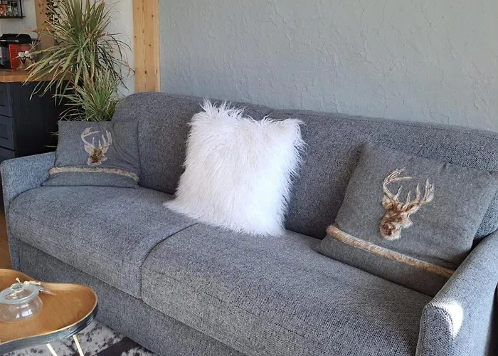 Daire 2 Alpes Style Au Pied De Telesiege Du Diable *